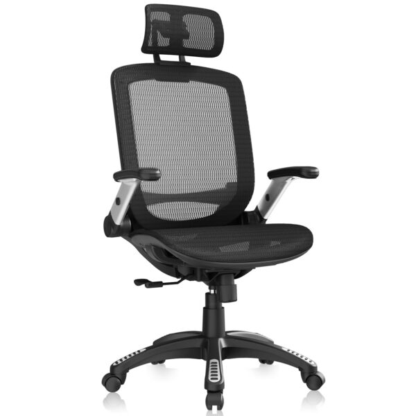 619vlr0VwiL GABRYLLY Ergonomic Office Chair, High Back Home Desk Chair with Headrest, Flip-Up Arms, 90-120° Tilt Lock and Wide Cushion, Big and Tall Mesh Chairs for Man Woman, Black Task Chair