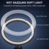 Desk Ring Light with Stand - 10.5'' Desktop Ring Light with Phone Holder for Video Recording, Circle Light for Computer Zoom Meeting Video Conference Lighting Video Calls Podcast Streaming